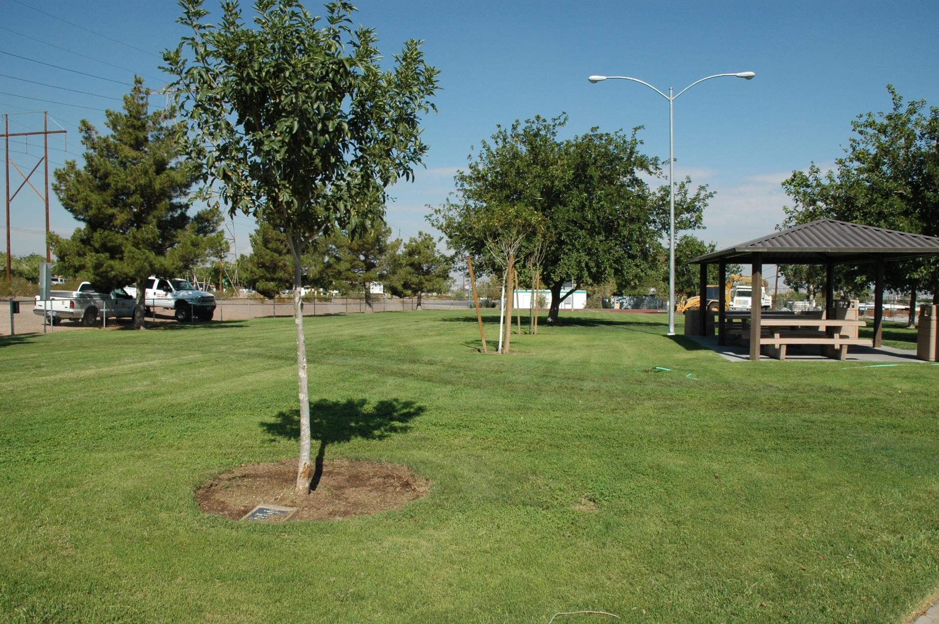 Downtown Open grass area 1