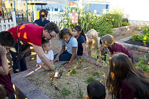 garden box donation