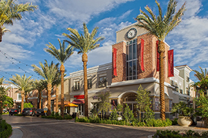 district building and palm trees