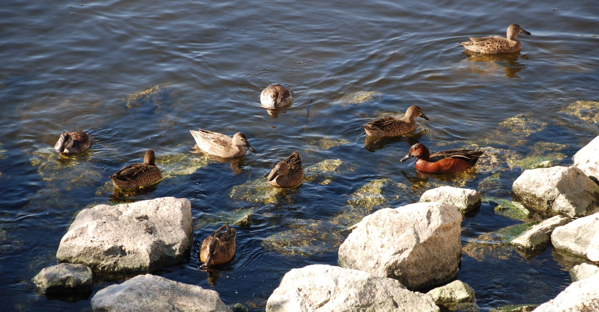 Bird Viewing Preserve