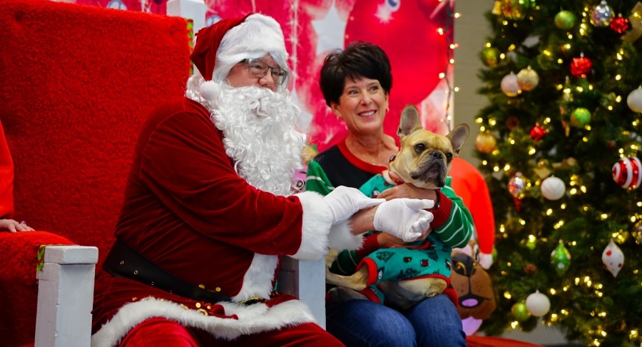 Puppy Pictures with Santa in Henderson, NV.