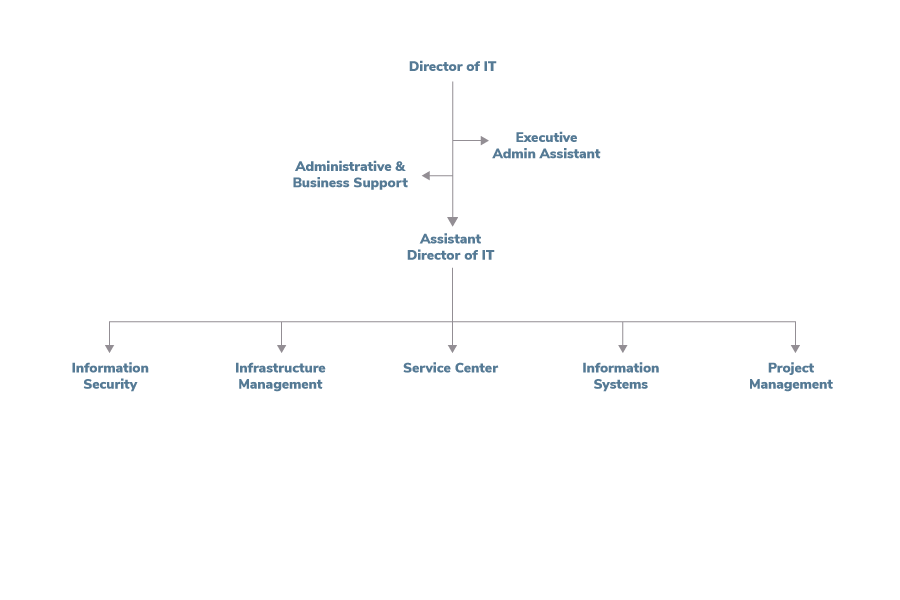 Information-Technology Org Chart