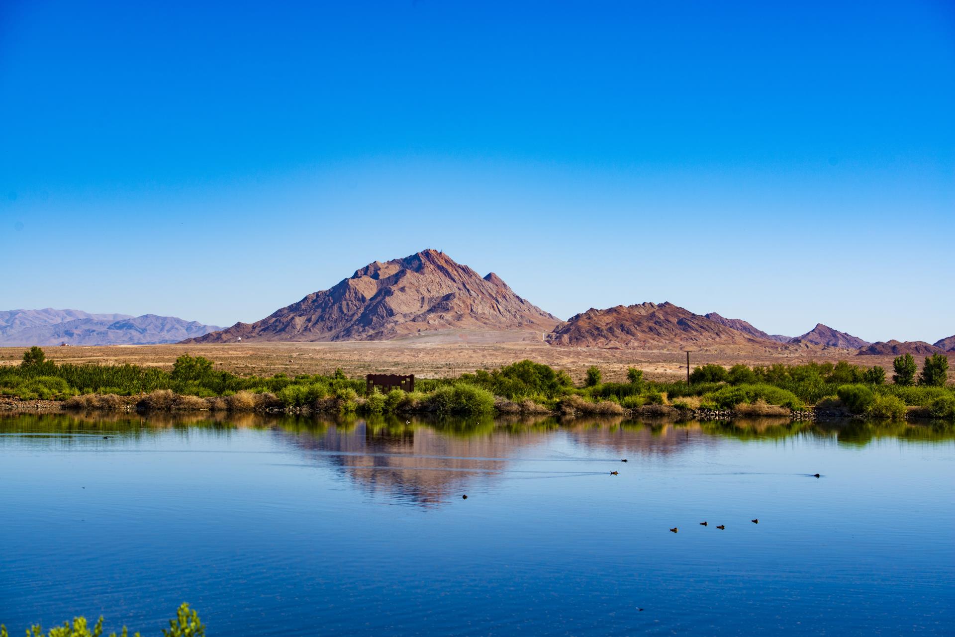 Bird Viewing Preserve